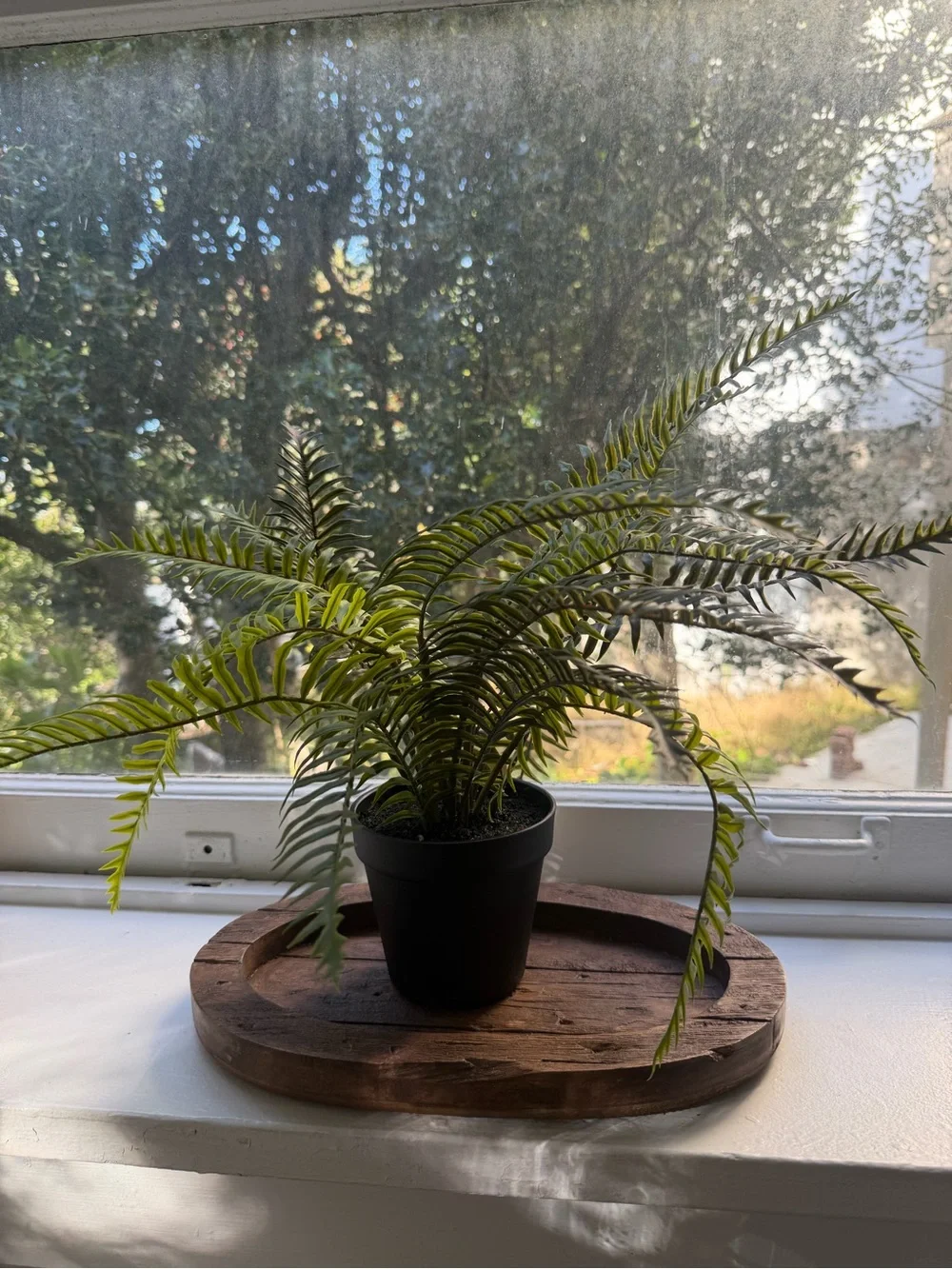 Pottery Barn Faux Potted Wild Fern